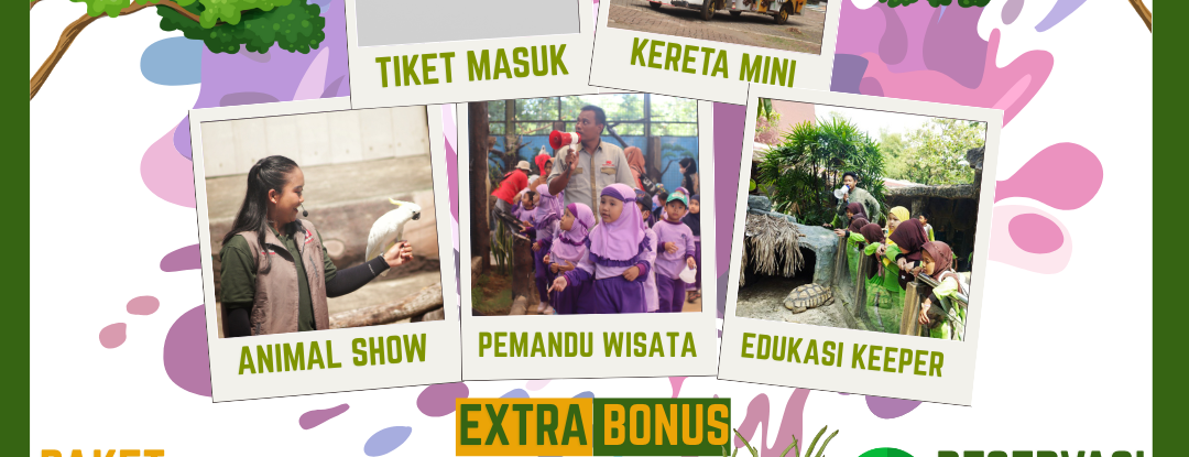 paket siamang semarang zoo