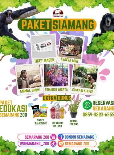 paket siamang semarang zoo