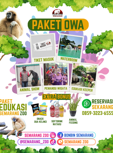 Paket Owa Semarang Zoo