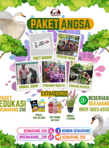 Paket Angsa Semarang Zoo