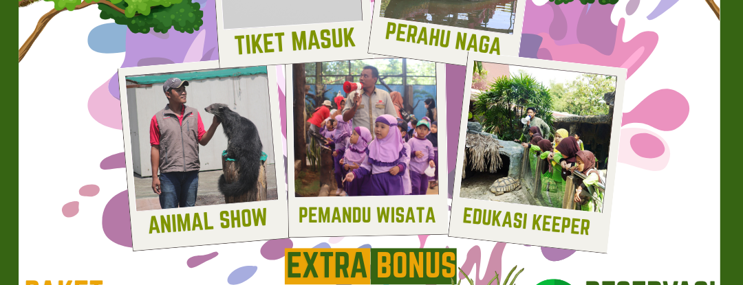 Paket Orangutan Semarang Zoo