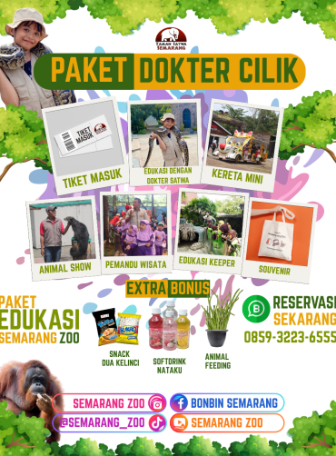 Paket Dokter Cilik Semarang Zoo
