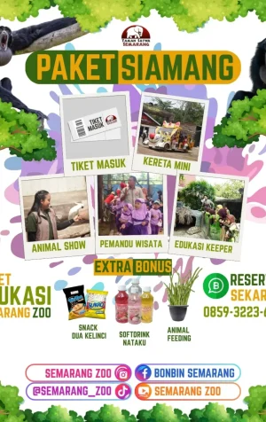 paket siamang semarang zoo