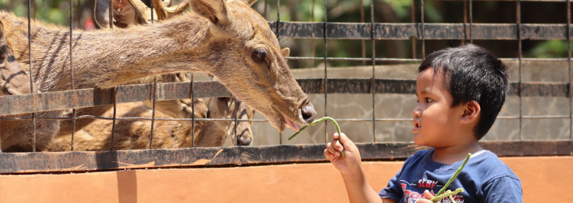 Wahana Animal Feeding Semarang Zoo